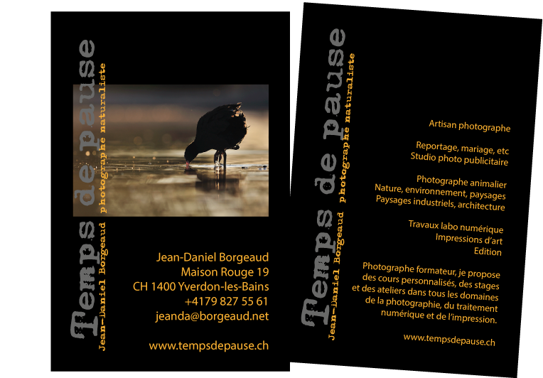 CarteVisiteJD